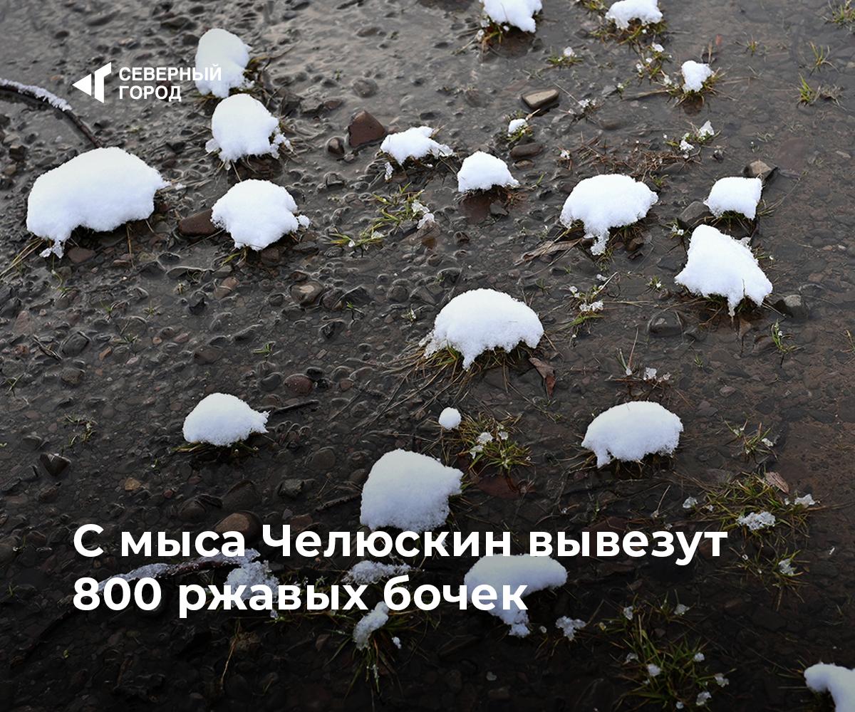 С мыса Челюскин вывезут 800 ржавых бочек На самом северном пункте Евразии завершается экологическая операция 800 бочек из под ГСМ грузят на борт судна Михаил Сомов Это часть масштабной уборки которую второй год проводят волонтеры проекта Чистая Арктика Бочки оставшиеся со времен СССР вручную перекатывали по тундре чтобы не повредить почву На судно их поднимают вертолетом по 50 80 штук за раз Всего на Челюскине накопилось около 40 тысяч бочек на площади 40 гектаров Мы не просто убираем мусор мы восстанавливаем символ российского присутствия в Арктике Это системная работа которая меняет облик мыса сказал Андрей Нагибин руководитель проекта За пять лет Чистая Арктика собрала почти 20 тысяч тонн отходов и очистила 791 гектар Работы на Челюскине продолжатся в следующем сезоне арктика sgnorilsk Чистая работа Сохраняем природу Севера Подписаться на канал
