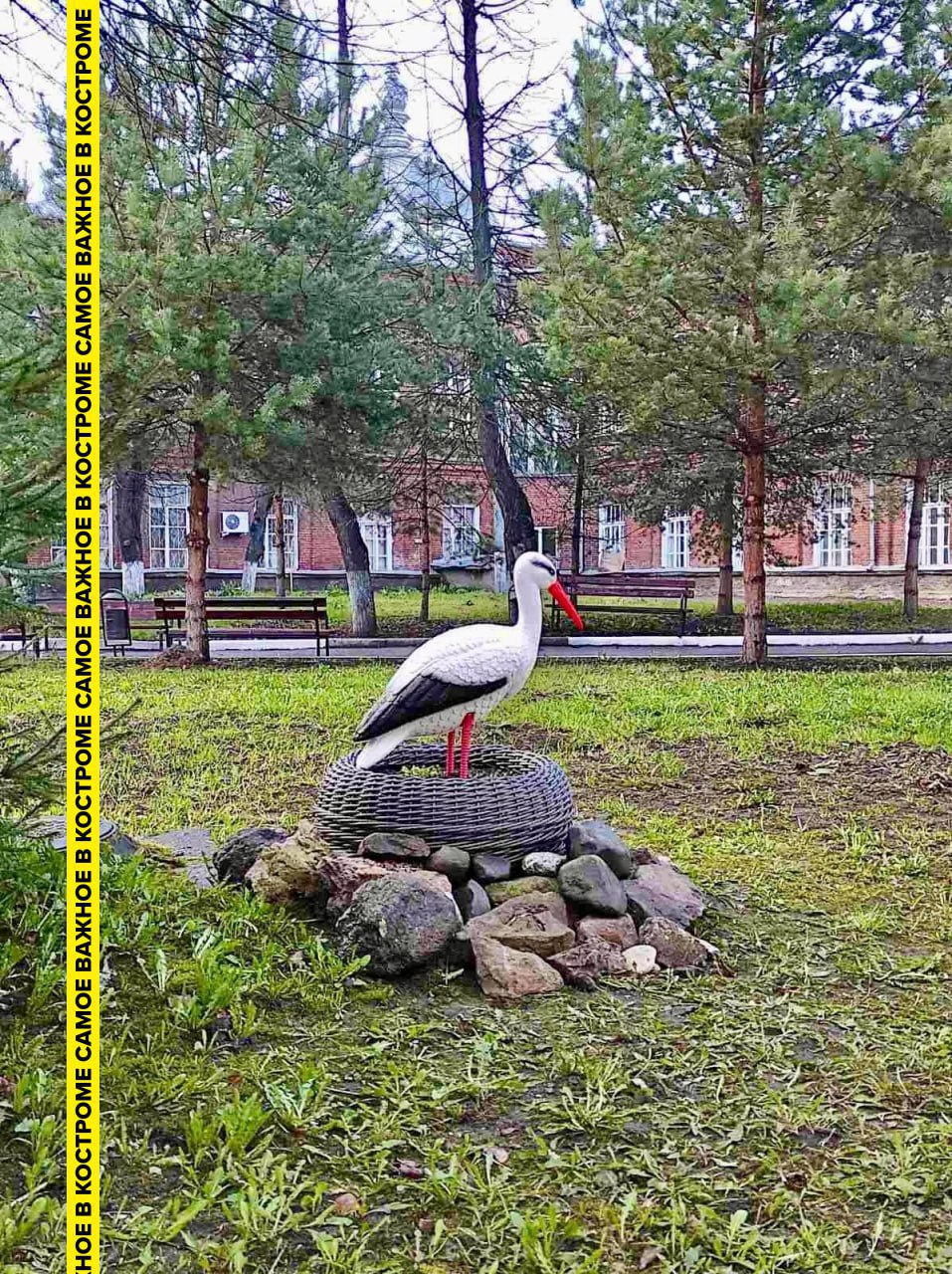 Хорошие новости принёс аист Фёдор с раннего утра 1 сентября В роддоме Костромы в августе на свет появилось 209 малышей 102 мальчика и 107 девочек Как сообщают в канале Неонатологи на связи самый крупный августовский малыш родился весом 4 360 граммов самый маленький 2 140 граммов Желаем малышам крепкого здоровья и сладких снов а родителям терпения и счастья