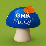 Мама, я девелопер