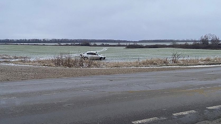 Под Орлом лиса спровоцировала серьезную аварию  Из-за животного водитель потерял управление и вылетел в кювет. С травмами его доставили в областную клиническую больницу, но госпитализация ему не понадобилась    Вести-Орел. Подписаться