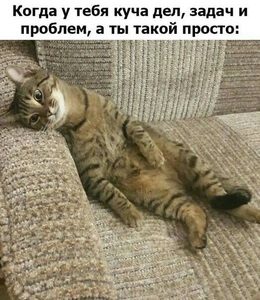 Вы ленивые из за ваших генов доказали китайские ученые Они установили что лень передается по наследству от родителей И вероятно такой подарок переходит из поколение в поколение У ленивых людей нарушается обмен дофамина и серотонина что сбивает работу центра мотивации и удовольствия Эта проблема как выявили исследователи передается наследственным путем в 47 случаев Если вы ленитесь выполнять задачи вовремя скорее всего ваши родители вели себя так же Незакрытые дедлайны можно свалить на гены