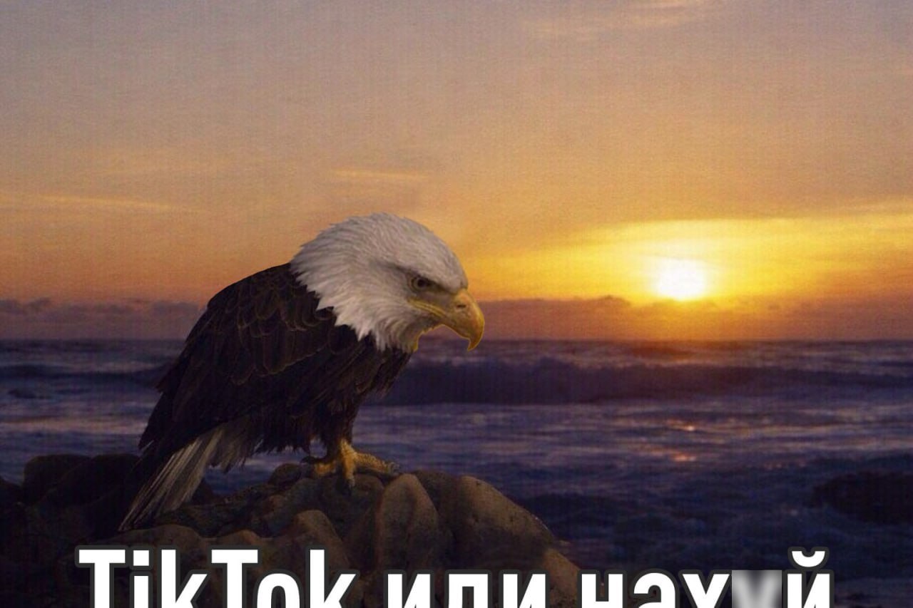 В США люди начали массово удалять TikTok после объявления о продаже американской компании приложение начали воспринимать как инструмент для слежки Главная причина TikTok собирает все ваши данные просмотры лайки взаимодействие с контентом и время использования Новые соглашения усиливают юридический контроль США и даже если камера не включена алгоритмы фиксируют каждое движение формируя подробный цифровой профиль Волна массового удаления аккаунтов только растёт Люди уходят из TikTok потому что не хотят чтобы каждое их движение анализировалось И вообще как оказалось китайцам они доверяли больше У TikTok теперь много общего с МАХ exploitex