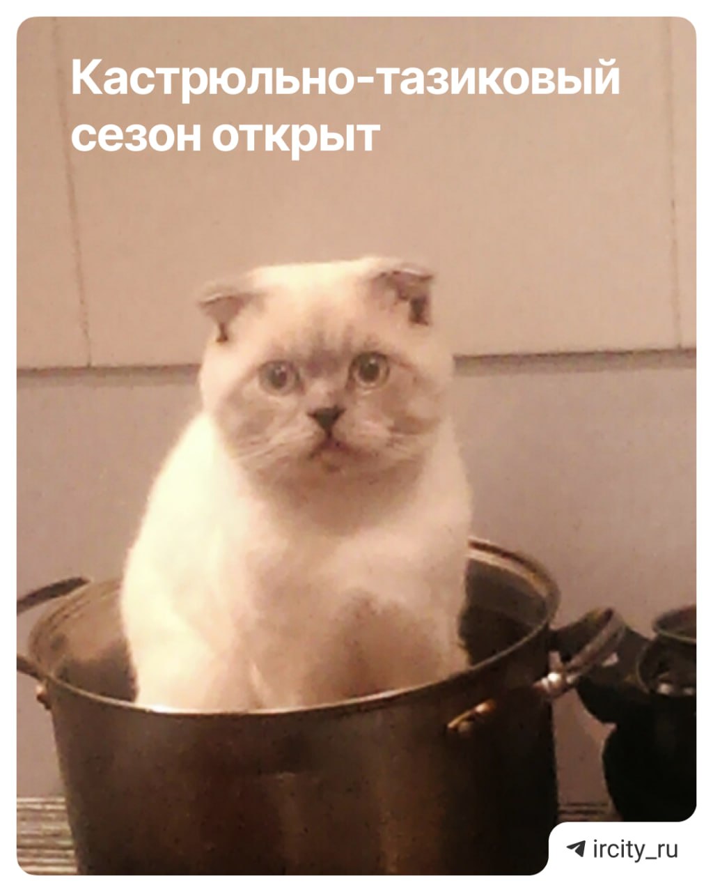 Тазики наготове!   В микрорайоне Второй Иркутск в течение июня запланированы отключения горячей воды. Это связано с испытаниями теплосетей после отопительного сезона и капитальным ремонтом, сообщили в сетевой компании «Иркут».  Самое масштабное отключение будет недолгим — с 9:00 9 июня до 17:00 11 июня. Полный список адресов смотрите на сайте «Иркута».  Отдельно с 9 по 22 июня воду отключат по адресам: ул. Просвещения, 38, ул. Крымская, 29, 31, 33А, ул. Демьяна Бедного, 36, 38.  Там будут менять подающий и обратный трубопроводы.    Участвуй в розыгрыше