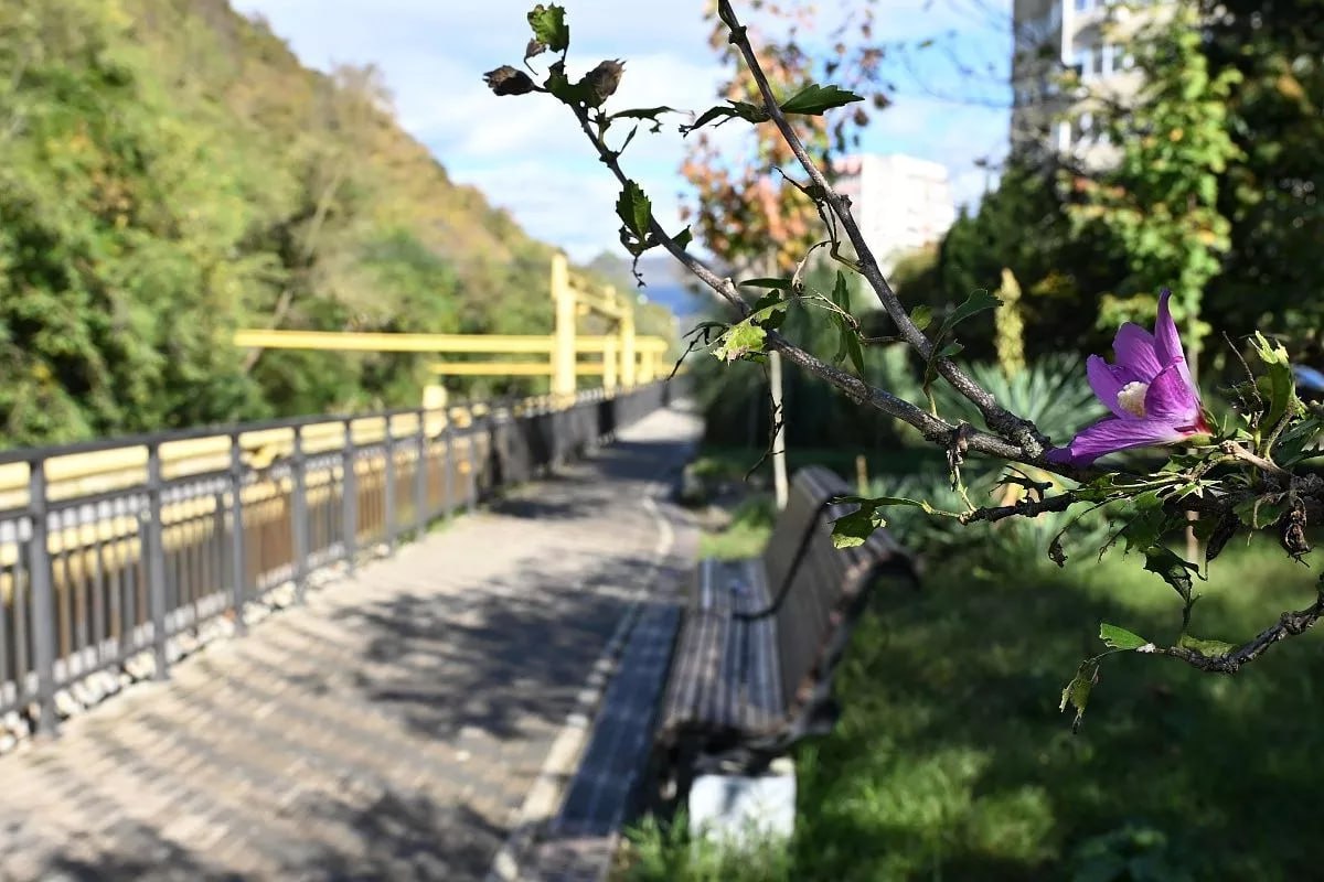 Новую прогулочную аллею обустроят вдоль реки Восточный Дагомыс в Сочи Этот участок набережной по улице Батумское шоссе победил в краевом конкурсе по отбору проектов местных инициатив в рамках программы Региональная политика и развитие гражданского общества весной этого года Из краевого и городского бюджета на реализацию проекта направлено порядка 8 миллионов рублей Работы планируется завершить до конца года В настоящее время выполнена облицовка с использованием мраморных и гранитных плит установлены современные ограждения Идет обрезка уложенной брусчатки для последующей установки 17 опор освещения Кубанские Новости Мы в MAX