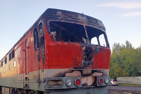 Перед судом предстанет учитель из Сыктывкара обвиняемый в диверсии Обвиняемый совершил поджог под влиянием общения в мессенджере с лицом который представился сотрудником одного из правоохранительных органов и сообщил об угрозе взлома аккаунта сыктывкарца на портале Госуслуг   komiinform ru news 291295