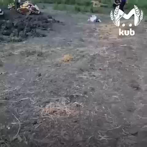 Скандал на похоронах в Анапе: покойного привезли в гробу без одежды и с пакетом на голове