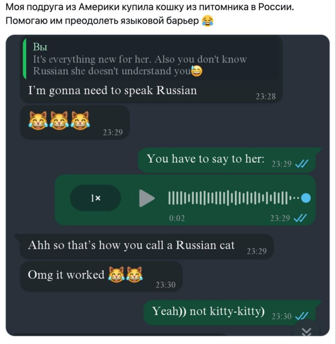 Девушка из Америки купила кошку и выяснила, что она не откликается на английское «китти-китти».   Теперь друзья помогает девушке выучить русское «кс-кс-кс».  Приколы   - Подпишись!