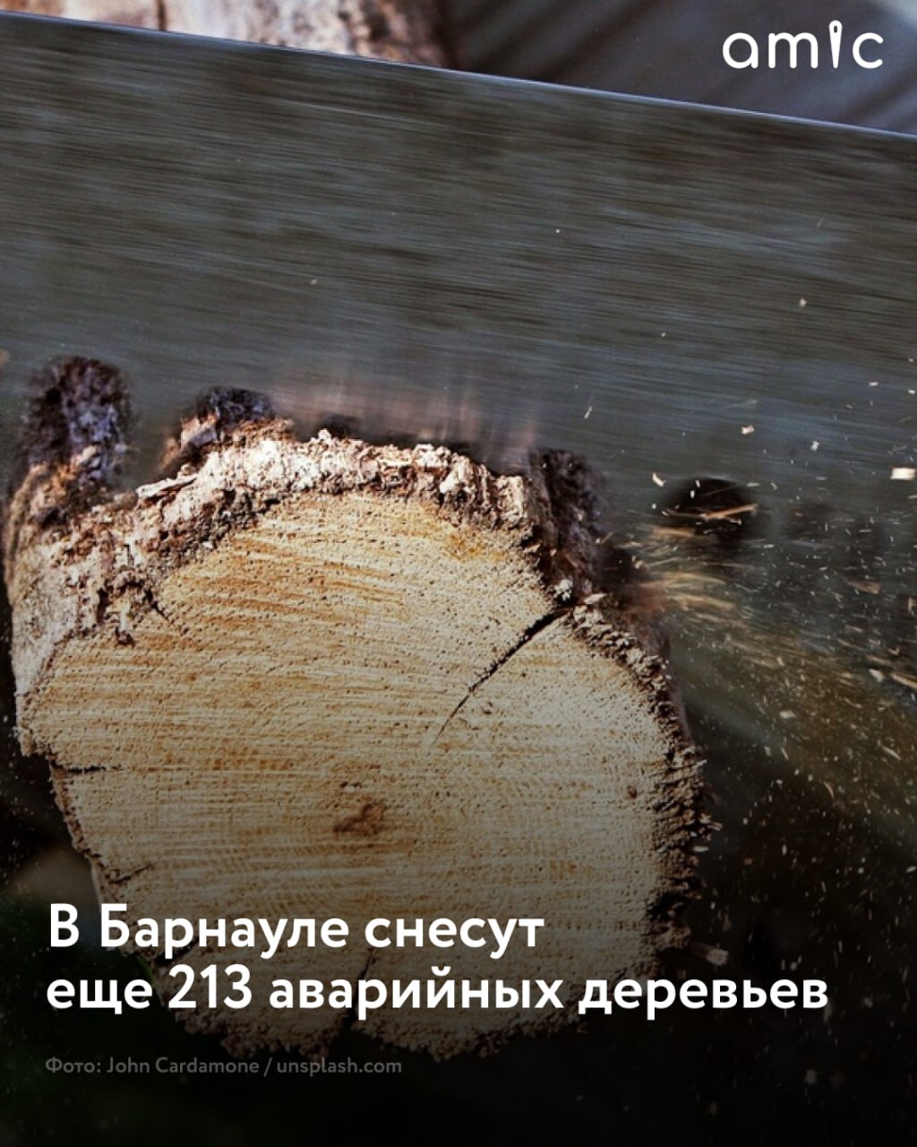 В Барнауле продолжают сносить аварийные и сухостойные деревья  Работы выполняет МБУ "Благоустройство и озеленение" своими силами и привлекая подрядчиков в рамках субсидии, выделенной из бюджета города,  сообщили в пресс-службе администрации.  В 2025 году на это направили более 9 млн рублей. А накануне учреждение заключило контракты на снос еще 213 опасных деревьев. В рамках субсидии подрядчик продолжит сносить аварийные насаждения во всех районах.  "В настоящее время работы ведутся на территории Центрального района: ул. Анатолия, 315, ул. Гвардейская, 10, ул. Денисова, 144, ул. Ляпидевского, 14б, пер. Пожарный, 5, ул.Т яптина, 18 и другие", — уточнили в мэрии.  Вместе с тем в рамках концепции "Барнаул – зеленый город" планируют высадить в этом году более 600 деревьев и 1400 кустарников. А по нацпроекту "Инфраструктура для жизни" — более 3,3 тысячи деревьев.
