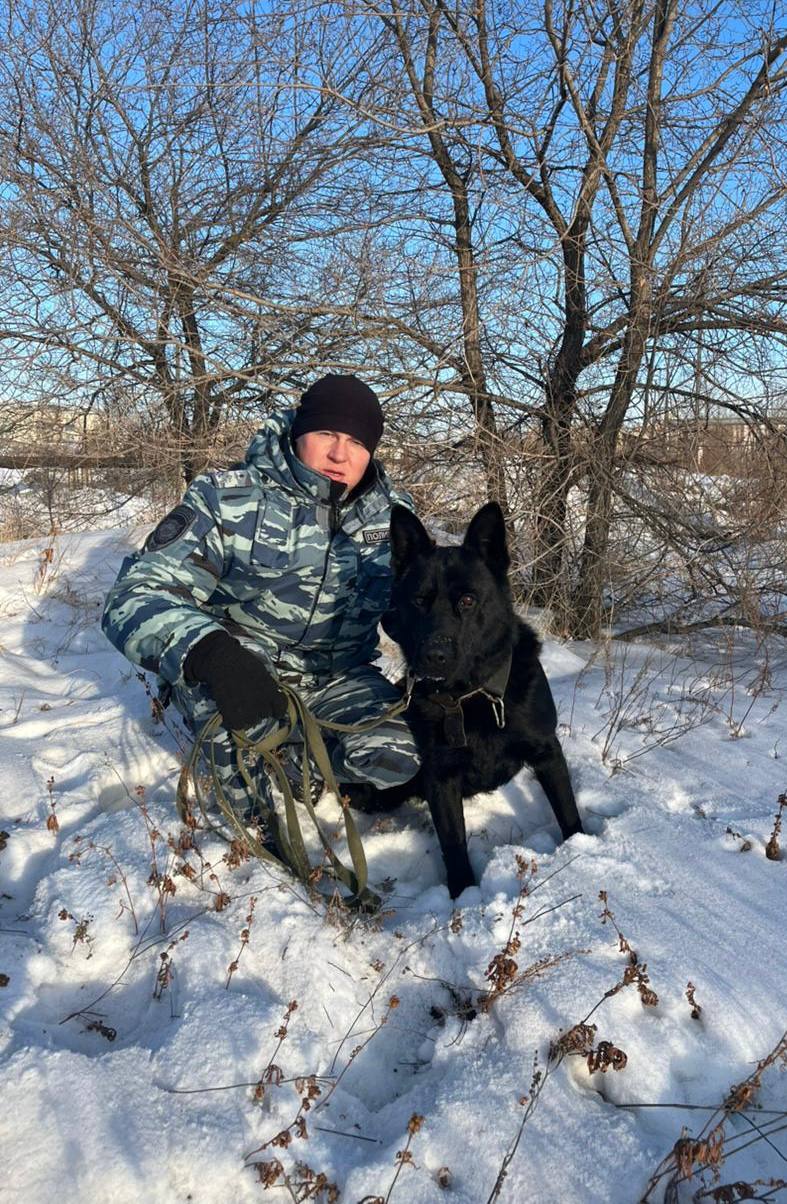 Служебная собака Айк более 2 км вела полицейских до убийцы в Забайкалье   Служебная собака по кличке Айк помогла полицейским найти подозреваемого в убийстве. Пёс более 2 км вёл стражей правопорядка к месту, где скрывался злоумышленник.    ‍  В полицию поступило сообщение об обнаружении тела женщины на территории одного из фермерских хозяйств. На место прибыла следственно-оперативная группа с кинологом Андреем Печерских. Он применил служебную собаку Айк, которая взяла след подозреваемого и около 2 км вела к нему стражей правопорядка.    Злоумышленником оказался ранее судимый 48-летний работник соседнего фермерского хозяйства. Выяснилось, что мужчина убил работницу фермы после распития спиртного и возникшего конфликта. Возбуждено уголовное дело.  Фото: тг-канал полиции Забайкалья.  ChitaMedia Забайкальский край