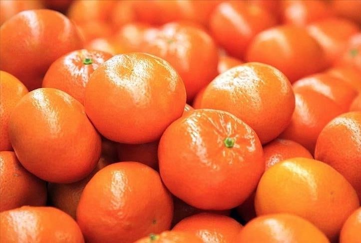 В Новороссийске задержали 24 5 тонны турецких мандаринов из за средиземноморской плодожорки Россельхознадзор нашел вредителя в партии цитрусовых Зараженная продукция не допускается к продаже без обработки Собственники груза проведут обеззараживание разрешенными препаратами Кубанские Новости Мы в MAX