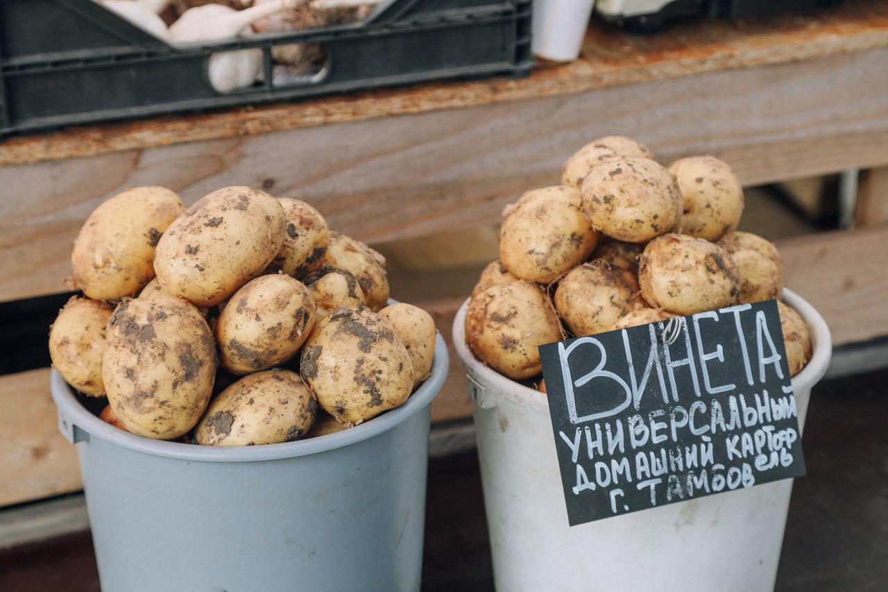 В начале лета потребители удивлялись резко выросшим ценам на рыночные продукты. Из овощей особенно сильно подорожали картофель, морковь и свёкла. Цены на клубнику, черешню и абрикосы были ожидаемо высокими. Но уже в июле эксперты прогнозируют сезонное снижение цен на свежие овощи, фрукты и ягоды. Чем сегодня радуют рыночные прилавки и чем обусловлены цены на сельхозпродукты, нам рассказала Наталья Аверина, продавец на овощной точке. «Труд человека сейчас очень дорог. Чтобы, например, посадить картошку, нужно закупить семена, нанять рабочих, нанять транспорт. Возросли расходы, поэтому люди, чтобы оправдать эти затраты, начали повышать цены. Им, конечно же, хочется продать всё это подороже», — рассказала Наталья Аверина, продавец. Как пояснила продавец, стоимость зависит не только от логистики, но и от самого урожая. Первый урожай картофеля требует быстрой уборки и долго не хранится, а значит, цена молодого картофеля будет выше. Ценовой минимум ожидается к августу. «Сравнивать с зимними ценами, когда здесь картошка стоила 150 рублей, было невозможно. Сейчас хорошая картошка стоит 100 рублей», — сказала Наталья Аверина, продавец. С огурцами всё проще. Здесь главным фактором установленной цены стали погодные условия. «С огурцом проблема была такая, что было холодно, были ночи холодные. Огурец растёт только утром. Утром, как вы знаете, были холода. Думаю, что в течение двух недель цена на огурцы снизится», — отметила Наталья Аверина, продавец. Несмотря на высокие цены, покупателей на рынке много. Овощи уже закупают для заготовок на зиму, ягоды и фрукты берут с запасом. Говорят, идут сюда за качеством. Для многих поход на рынок — уже традиция. Здесь можно найти свежие овощи, фрукты и зелень, пообщаться с продавцами, попробовать и выбрать сезонные продукты. Да и поторговаться, как здесь, в супермаркете точно не удастся.