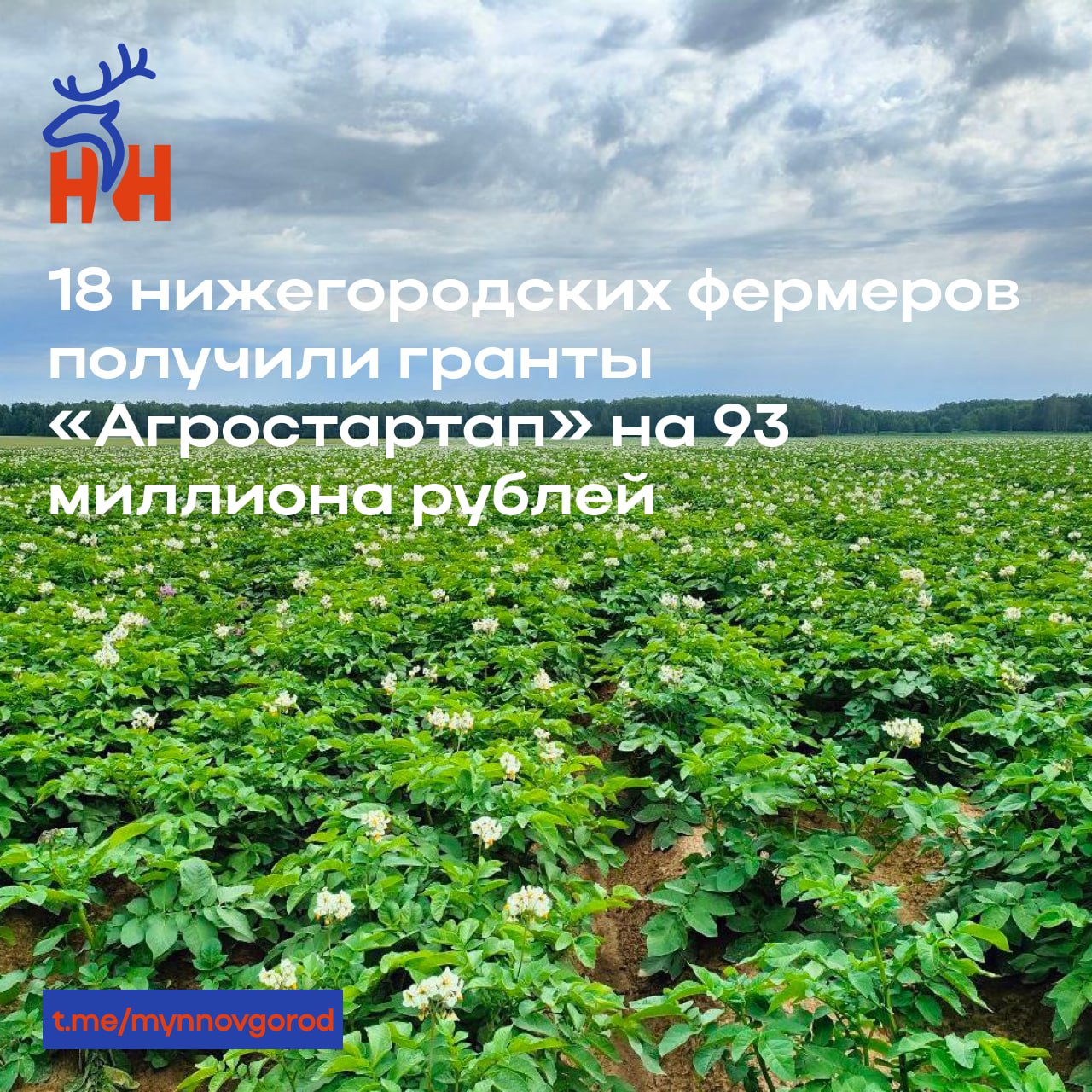 18 нижегородских фермеров получили гранты «Агростартап» на 93 миллиона рублей  • В 2025 году 18 начинающих фермеров Нижегородской области стали победителями грантового конкурса «Агростартап» и получат почти 93 млн рублей на запуск и развитие своего хозяйства.  • Максимальная сумма гранта составляет до 7 млн рублей — на разведение крупного рогатого скота мясных или молочных пород, и до 5 млн — на другие направления. Конкурс реализуется в рамках нацпроекта «Эффективная и конкурентная экономика».  • В этом году отобрано 12 проектов по разведению КРС, а также по одному проекту по овцеводству, выращиванию зерна, картофеля, ягод, и два проекта по пчеловодству — это направление вновь становится популярным.  • «Агростартап помогает тем, кто только начинает свой путь в агробизнесе. Это важный инструмент поддержки сельхозпредпринимателей», — отметил замгубернатора Андрей Саносян.  • Один из получателей — Александр Шамшин из Тоншаевского округа. Он представил проект по производству картофеля. С помощью гранта он закупит трактор, культиватор, картофелесажалку и копатель корнеплодов.  • Программа действует с 2019 года. За это время в регионе уже поддержано более 130 фермерских проектов. Подробности — на сайте.    Подробнее
