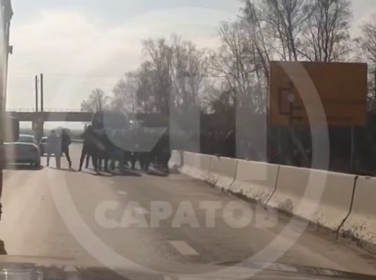 Ульяновские тиффози вчера устроили массовый мордобой в Саратове где проходил матч по футболу между Волгой и саратовским Соколом Волга проиграла 1 0 Но ульяновские фанаты успели подраться раньше по дороге на матч Подписывайтесь 73online Присылайте новости Мы в MAX