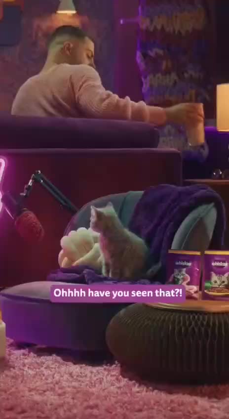 Whiskas запускает подкаст The Purrcast с советами по уходу за кошками