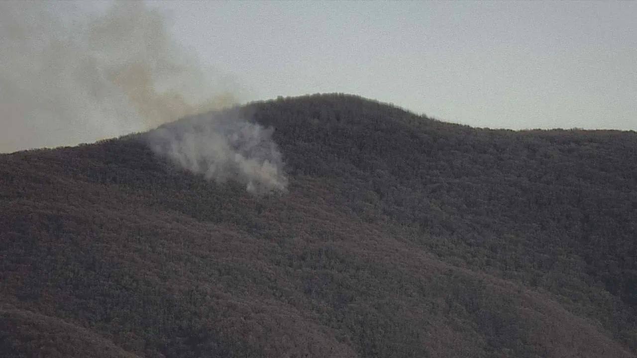 ЛЕСНОЕ ВОЗГОРАНИЕ В РАЙОНЕ С ПРАСКОВЕЕВКА Оно зафиксировано системой Лесохранитель Лесопожарные формирования ГБУ КК Краевой лесопожарный центр приступили к тушению на примерной площади 1 га Принимаются все меры для скорейшей его локализации
