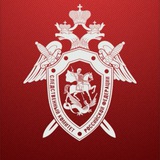 Аватар Телеграм канала: СУ СК России по Пермскому краю