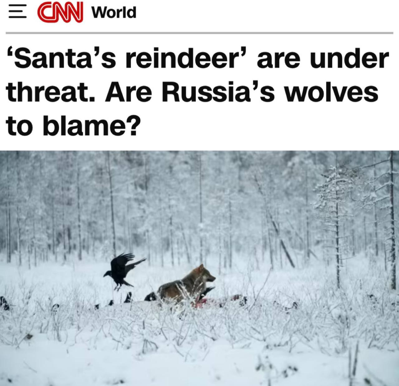 Финских оленей убивают российские волки Об этом на полном серьезе заявила Ассоциация оленеводов республики пишет CNN По ее данным только в этом году хищники уничтожили порядка 1 95 тысячи рогатых что на 70 больше чем в 2024 м Волки из России переходят через границу и охотятся уже на территории Финляндии уверены местные жители По мнению автора материала это объясняется тем что мужчины из числа охотников ушли на фронт и прекратили убивать хищников которые теперь охотятся на северных оленей В российском МИД уже оценили это заявление предположив что оно может быть западной зооместью за подсвинков Теперь под санкции видимо попадут российские волки которые кошмарят лапландских оленей Логика понятная тот кому Санта не принесет подарок должен четко усвоить виноваты русские пусть даже волки отметила официальный представитель МИД РФ Мария Захарова   Подпишитесь на Абзац TG VK Дзен MAX Rutube