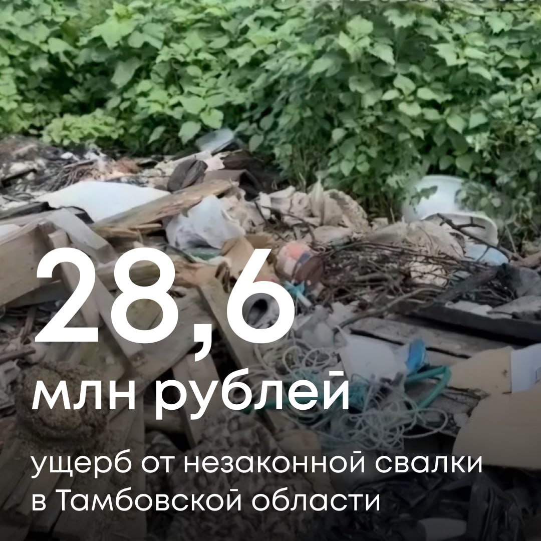 Суд подтвердил законность требований Росприроднадзора к администрации Никифоровского муниципального округа Тамбовской области — с нее будет взыскано более 28,6 млн рублей за вред, причиненный почвам.   В 2022 году в Службу поступил сигнал от жителей о несанкционированной свалке в районе поселка Дмитриевка. Инспекторы совместно с экспертами ЦЛАТИ выехали на место: пробы показали превышение содержания загрязняющих веществ в почве, а площадь захламления составила 950 м².  Поскольку администрация отказалась возместить ущерб добровольно, дело было передано в суд. Суды всех инстанций, включая Верховный суд, встали на сторону Росприроднадзора.