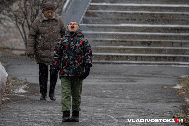 Погода во Владивостоке резко испортилась что в целом нормально для последнего осеннего месяца Суббота началась с пасмурного утра а ближе к обеду с неба посыпались белые хлопья снега Которые даже задержались на земле и слегка припорошили деревья траву и еще живые цветы И пока взрослые щурились от снежинок и скрывались от них под зонтиками дети ловили замёрзшие льдинки и пытались играть в снежки соскребая снег с перил заборов и припаркованных во дворах машин Как прошел первый во Владивостоке снег который решил задержаться в фоторепортаже Подписаться