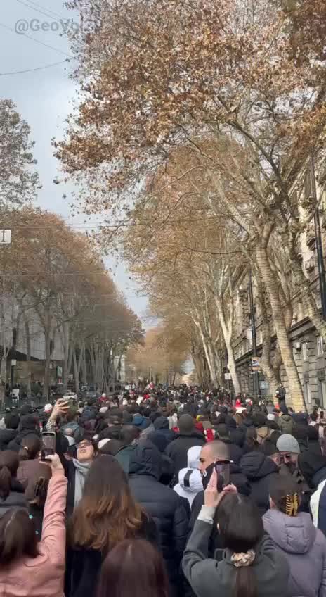 Правящая партия Грузии получает поддержку на выборах, председатель парламента призывает к стабильности