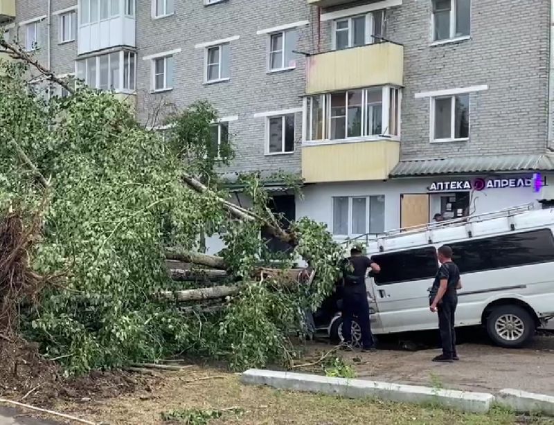 В Улан-Удэ упавшее дерево раздавило кабину микроавтобуса Неприятный инцидент случился сегодня днем в микрорайоне Аэропорт в Улан-Удэ. Там сильный ветер повалил огромный тополь. Вырванное с корнем дерево упало на кабину микроавтобуса, буквально расплющив ее. #Бурятия Подробности в «Номер один» Сообщить нам свою новость можно по кнопке: Письмо в редакцию