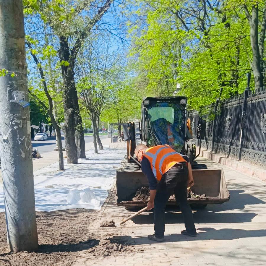 В Центральном районе продолжаются работы по восстановлению газонов Работы уже проведены на отдельных участках улицы Феоктистова, приступили к оформлению газонной части на улице Пушкинской. Перед посевом травы территорию тщательно готовят: рыхлят землю, завозят плодородный грунт, а затем увлажняют почву. Комбинат благоустройства осуществляет регулярный полив вновь организованных газонов. Восстановление газонов в ближайшее время так же запланировано на улицах Степана Разина и Карла Маркса. #УПРАВАЦЕНТРАЛЬНОГОРАЙОНАВОРОНЕЖА