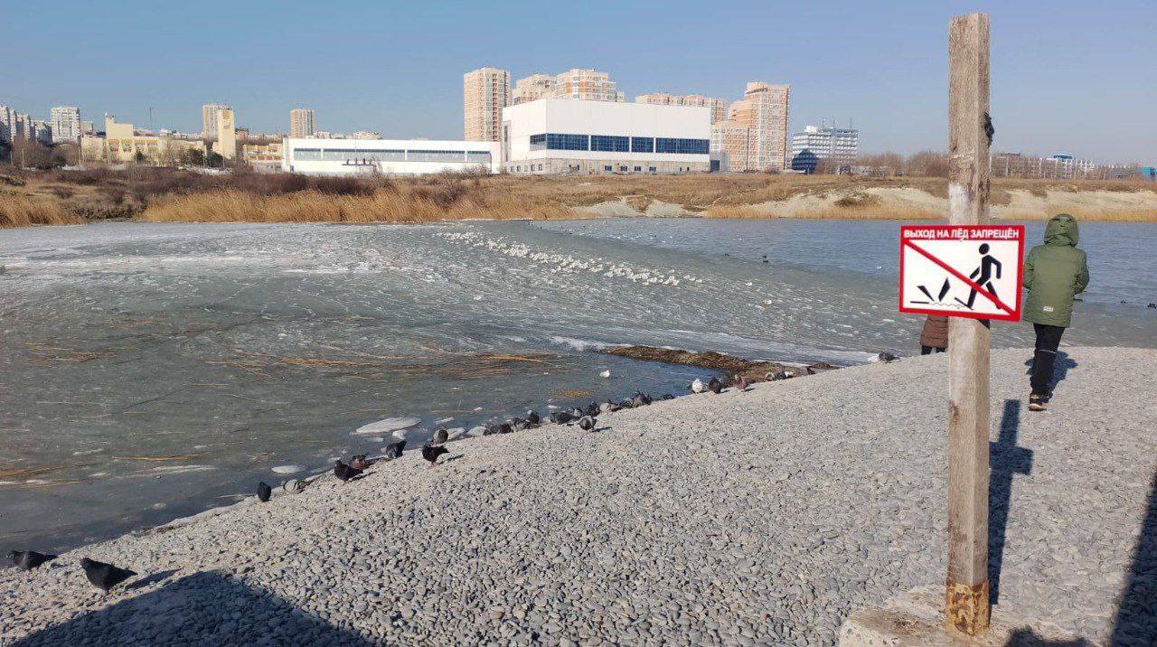 В связи с холодной и морозной погодой, установившейся в городе-герое Новороссийске, замерз лиман Суджукской лагуны. В выходные дни, 22 и 23 февраля, было много желающих проверить прочность льда, несмотря на запрещающие аншлаги, установленные вблизи лимана.  Уважаемые жители и гости города Новороссийск! Лед очень тонкий! Не рискуйте своей жизнью и жизнью своих близких! Не вставайте на тонкий лед и не пытайтесь передвигаться по нему!   Ежегодно тонкий лед становится причиной гибели людей. Чаще всего, в неприятные ситуации попадают дети, гуляющие в близи водоемов без присмотра родителей. Оградите детей от опасности и не подавайте сами дурной пример! Берегите себя и близких!  В случае чрезвычайной ситуации необходимо звонить 112.