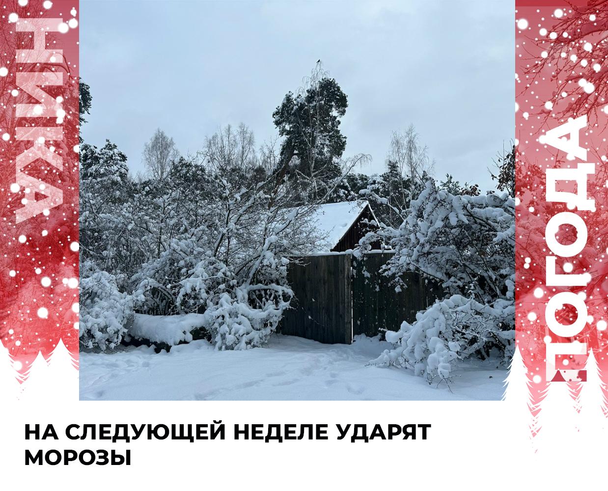 В конце следующей недели могут обрушиться сильные морозы Температура может упасть ниже 20 градусов рассказал метеоролог Евгений Тишковец В понедельник ожидается до 7 С затем в Калужской области мороз будет постепенно усиливаться впредь до субботы предсказывают синоптики Самое время подготовить многослойные наряды теплой одежды проверить аккумуляторы в автомобилях и смазать уплотнители дверей Подписывайся на наш канал в Максе