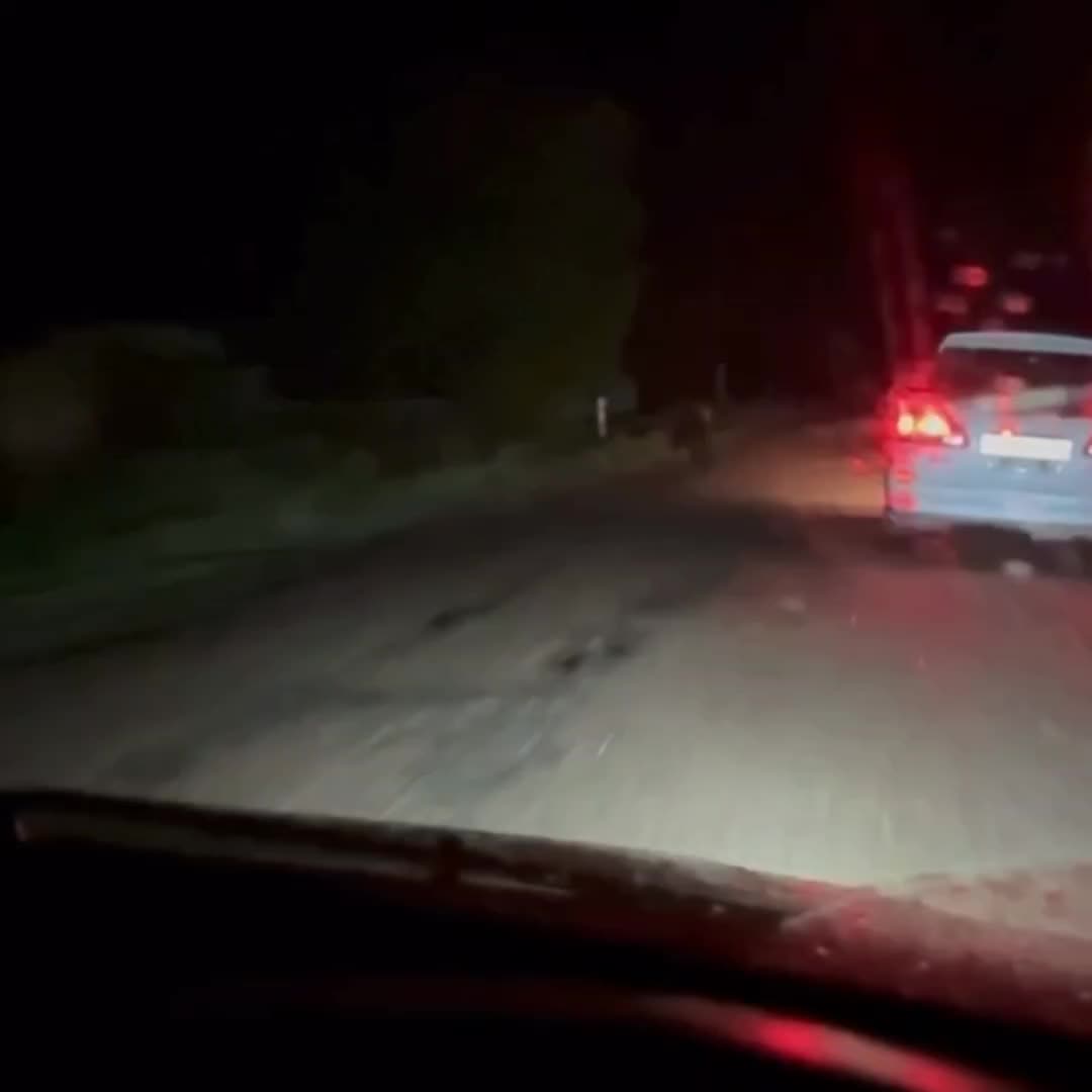 Медведь замечен на улице в селе Тресково Кабанского района