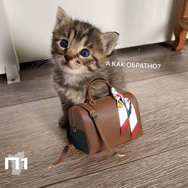 За 40 тысяч рублей в Северную Корею — стала известна цена билета на поезд из Перми в Пхеньян. По данным РЖД, стоимость составит 41,5 тыс. рублей. Первый рейс запланирован на 27 июня, время в пути — более 7 дней. Поезд сделает остановки в Верещагино и Кунгуре. Примечательно, что билеты «туда» уже в продаже, а обратно — нет. Оттуда не возвращаются ... Подписаться Прислать новость
