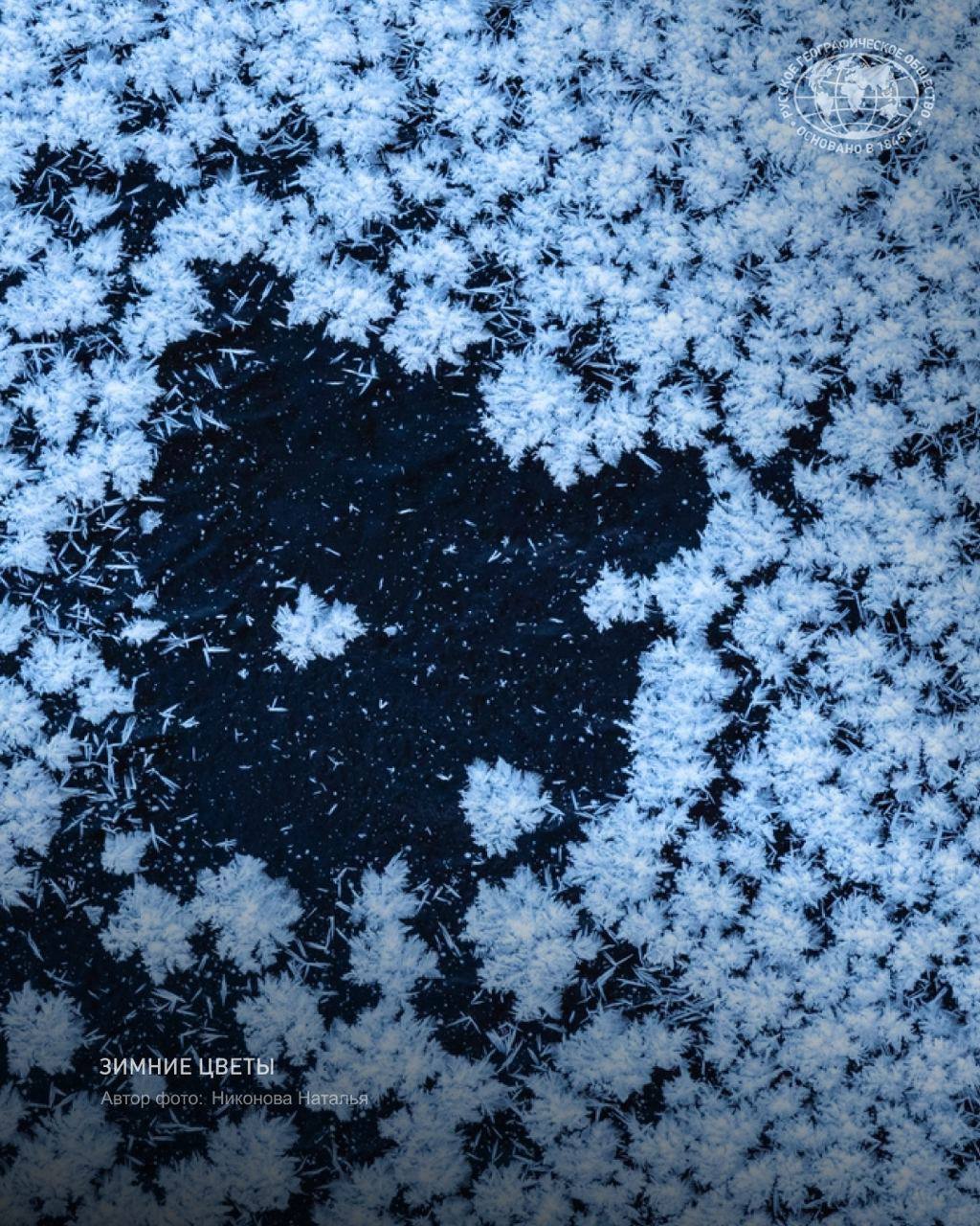 Видели когда нибудь снежные цветы Их можно наблюдать только в безветренную погоду Это редкое явление возникает когда ледяная корка только образовалась на воде а температура воздуха упала ниже 10 градусов Место съёмки река Линда Нижегородская область Автор фото Никонова Наталья участник фотоконкурса Самая красивая страна