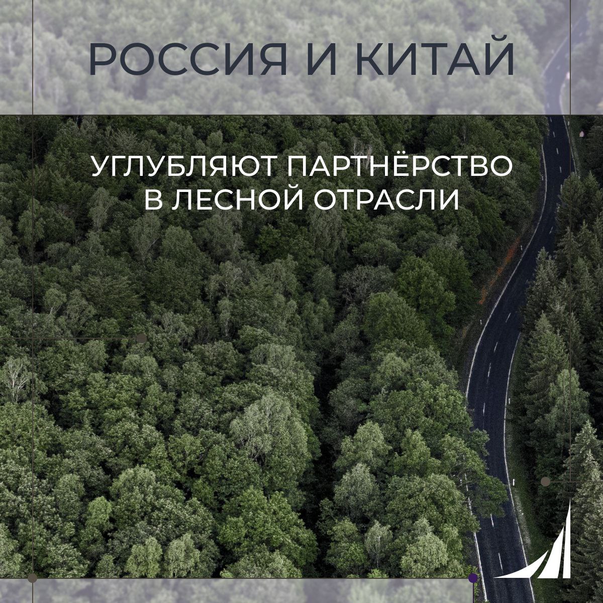 Россия и Китай углубляют партнёрство в лесной отрасли   Состоялось 20-е заседание Постоянной Российско-Китайской рабочей группы по освоению и использованию лесных ресурсов  Ключевые темы переговоров:  Снижение барьеров в торговле и транспортировке лесопродукции  Совместные инвестпроекты  Укрепление «зелёного» и низкоуглеродного сотрудничества в ЛПК  «Лесопромышленный комплекс, безусловно, остаётся одной из наиболее экспортоориентированных отраслей российской экономики. И именно Китай на сегодняшний день выступает в качестве основного внешнеторгового партнёра России в данной сфере», – отметил замглавы Минпромторга Михаил Юрин Подробнее