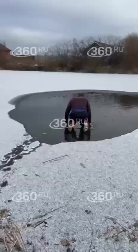 В Тюмени местный житель спас собаку из ледяного водоема