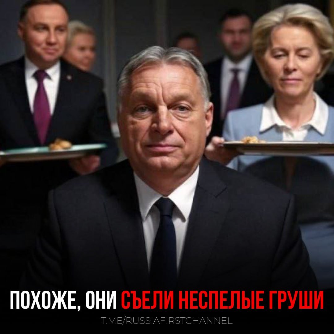 Орбан в шутку назвал страны ЕС лакеями на переговорах по Украине  Премьер-министр Венгрии пошутил, что если страны Евросоюза хотят принять участие в переговорах по Украине, им, возможно, придется примерить на себя роль лакеев.   «Я посмотрел фотографии встречи наших европейских союзников в Париже. Они как будто незрелых груш наелись. Евросоюз оскорблен, что переговоры начали без него. Хочет сесть за стол… Если хочешь сесть за стол, где играют большие парни, оглянись вокруг и найди лакея. Если не находишь, то знай, что это ты»    — и в чем он не прав?!  РОССИЯ