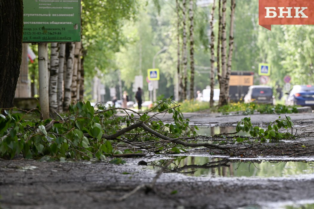 В Сыктывкаре устраняют последствия ночного шторма Сильнее всего от стихии пострадали Кировский парк, улица Кирова и Октябрьский проспект, рассказал мэр Сыктывкара Владимир Голдин. В городе насчитали полсотни упавших деревьев.