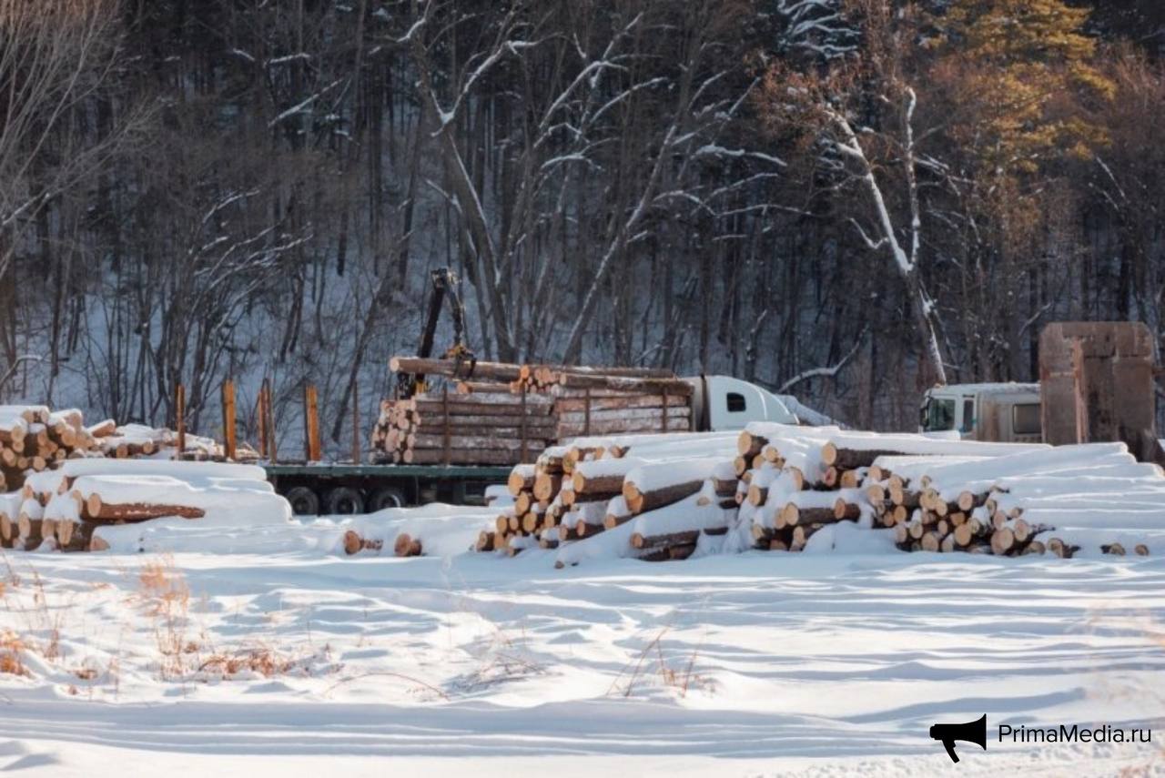 Госдума рассмотрит законопроект о границах ООПТ что ждет заповедное Приморье Госдума рассмотрит законопроект предусматривающий изменения границ особо охраняемых природных территорий ООПТ в России Инициаторы поправок в лице правительства РФ указывают на возможность как увеличивать так и уменьшать площадь заповедных территорий в случае природных ЧС а также при размещении оборонных объектов или объектов федерального значения При этом эксперты опасаются что в связи с изменениями приоритет будет смещён с сохранения биоразнообразия и экологического баланса на коммерческое освоение заповедных земель Подробнее в материале ИА PrimaMedia   PrimaMedia в       подпишись 18