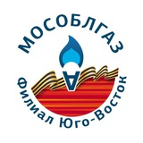 Аватар Телеграм канала: Мособлгаз Юго-Восток
