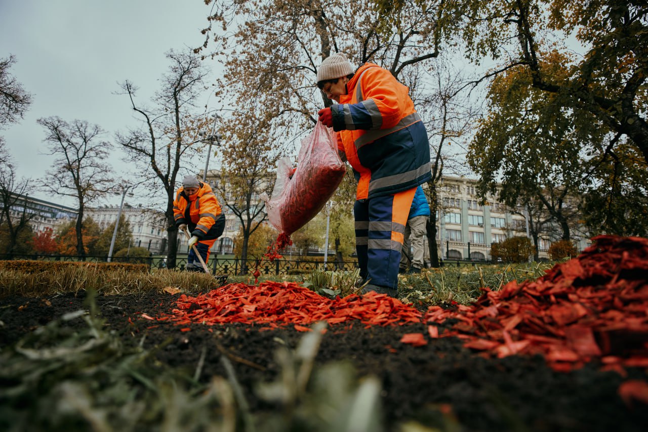 Городские цветники готовы к зиме Специалисты ГБУ Автомобильные дороги подготовили столичные цветники к предстоящим холодам Теперь многолетники смогут спокойно пережить зиму и уже весной снова украсить город яркими красками Чтобы растения чувствовали себя комфортно подкормили их удобрениями для укрепления корней и повышения морозостойкости очистили клумбы от сорняков и мусора обработали растения от болезней и вредителей провели обрезку укрыли кустовые розы защитным материалом А чтобы цветники выглядели аккуратно даже в холодное время года их задекорировали разноцветной древесной щепой Она не только украшает но и сохраняет тепло и влагу в почве ДЖКХ Москвы подпишись