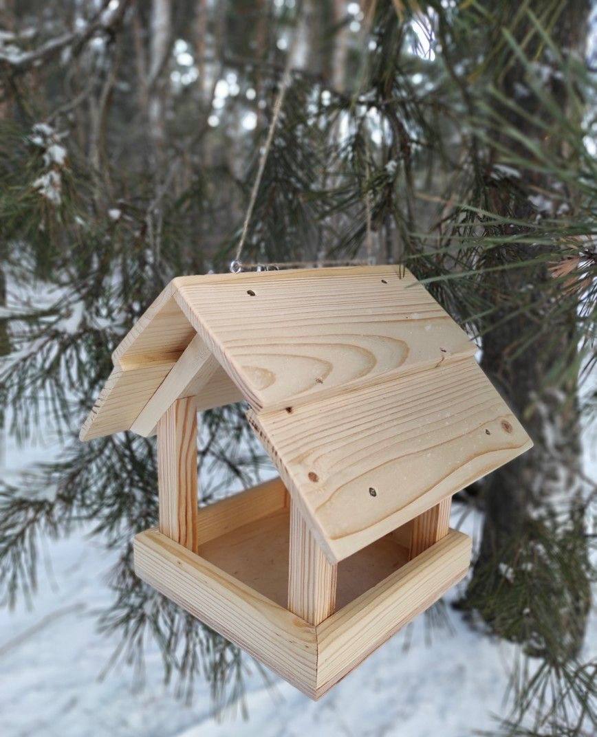 Интересный Оренбург В Бузулукском бору и других заповедниках стартовала акция по зимней подкормке птиц Установить кормушку можно возле дома в сквере или лесу Больше всего птички любят нежареные и несоленые семечки несоленое сало А вот хлеб цитрусовые копченые и жареные продукты им лучше не давать Главное не забывать пополнять кормушку Новости тут