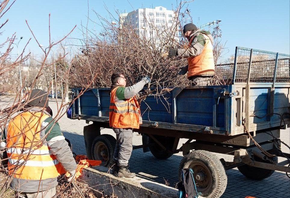 Мариупольские коммунальщики облагораживают парк в Приморском районе  Накануне в парке имени 50-летия Октября работники зеленого строительства провели санитарную обрезку деревьев для обеспечения правильного роста и формирования красивой кроны.