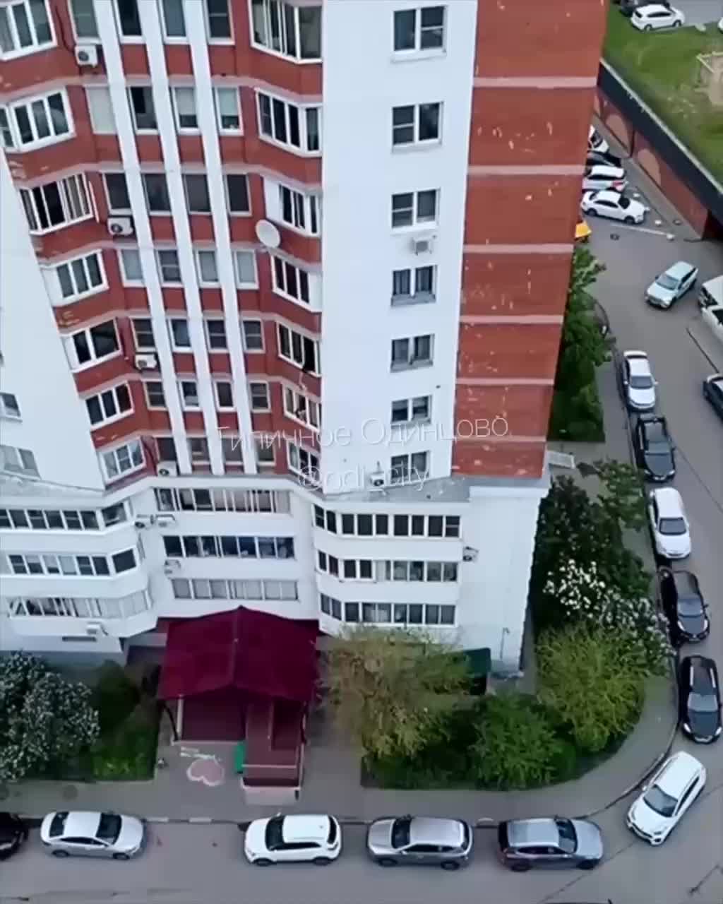 Житель Одинцово стал свидетелем жестокого обращения с котом