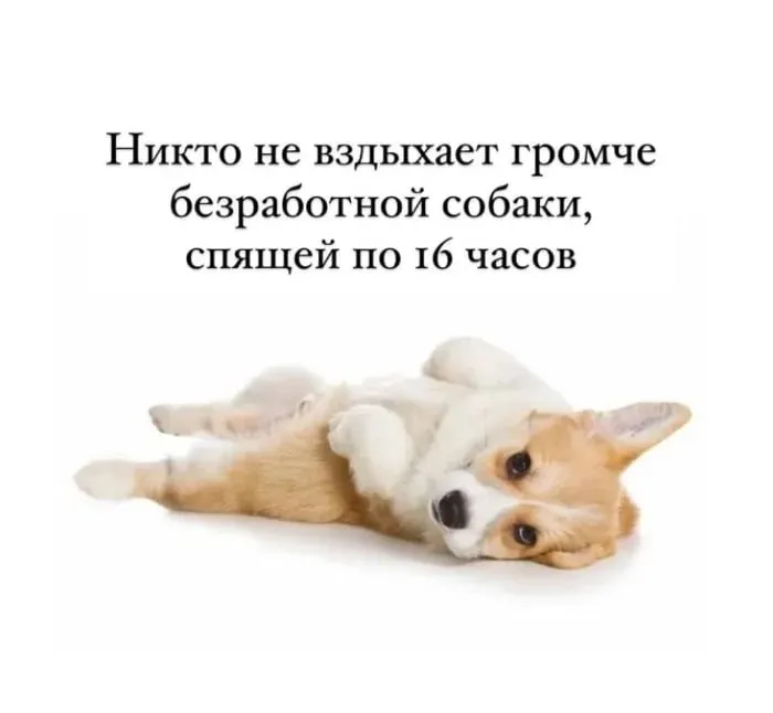 В эти выходные в поселках Казани организуют выездную вакцинацию кошек и собак от бешенства Делимся графиком работы и списком адресов мобильных пунктов   entermedia io news v poselkah kazani projdet vyezdnaya vaktsinatsiya zhivotnyh ot beshenstva Telegram Max