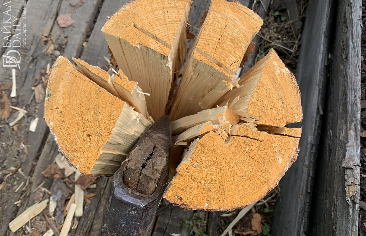 С жителя Заиграевского района взыскали крупную сумму за незаконную рубку деревьев Он решил отремонтировать старую баню с отвалившимися стенами взял у знакомого грузовой автомобиль и бензопилу и отправился в ближайший лес Там сельчанин спилил 24 сосны По решению суда с дровосека взыскали причинённый ущерб в размере более 260 тысяч рублей