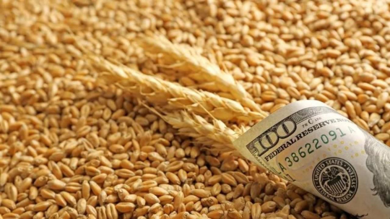 Составлен топ самых подорожавших в июле товаров на мировых рынках. Как следует из данных ICE Futures, CME Group и Шанхайской биржи металлов, самые высокие темпы роста показали: Пшеница +27,9% Родий +26% . Апельсиновый сок +15,8% . Подешевели в июле: Медь −12,9% . Газ в США −11% . Овес −9,4% . В энергетике заметную положительную динамику среди распространенных энергоносителей показала только нефть: цена барреля марки WTI увеличилась на 6,5%, марки Brent — на 6%.