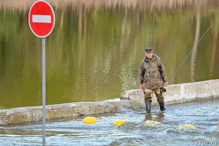 В Волгоградской области на Дону весной вновь запретят вылов щуки, судака и рыбца  В Волгоградской области с марта 2025 года будут введены ограничения на вылов некоторых видов рыб. Как сообщает ИА «Высота 102» со ссылкой на Росрыболовство, уже через несколько недель в Донском бассейне будет действовать запрет на ловлю щуки, судака и рыбца.  – Вылов щуки у нас будет запрещён с 20 марта по 25 апреля, рыбца – с 15 апреля по 15 июля, судака – с 15 апреля по 8 июня. Кроме того, с 20 апреля вводится мораторий на лов всех видов рыб с использованием всех видов судов и плавучих средств. Он продлится до 1 июня, – рассказала журналистам старший специалист-эксперт Цимлянского отдела рыбоохраны АЧТУ Росрыболовства Юлия Науменко.   Подробнее