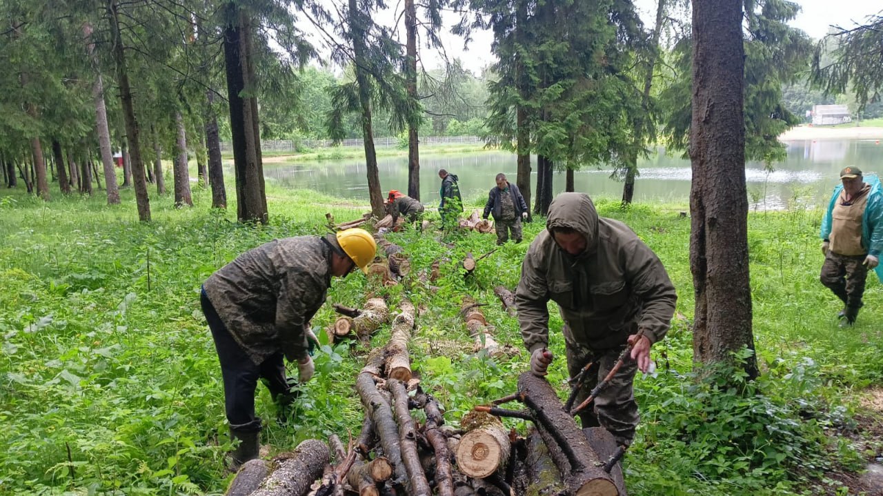На территории Сергиево-Посадского лесничества, вблизи водоёма «Макаркин пруд», прошёл субботник Участок леса для проведения акции определили жители города Пересвет. Перед началом мероприятия все присутствующие прошли инструктаж по технике безопасности при работах по уборке неликвидной древесины. В субботнике приняли участие более 50 человек – сотрудники лесничества, представители администрации городского округа, общественных организаций, депутаты, местные жители. «Всего было собрано почти 25 кубометров валежника на площади один гектар», – подвёл итоги акции заместитель директора Сергиево-Посадского филиала ГАУ МО «Мособллес» Виталий Мягков.