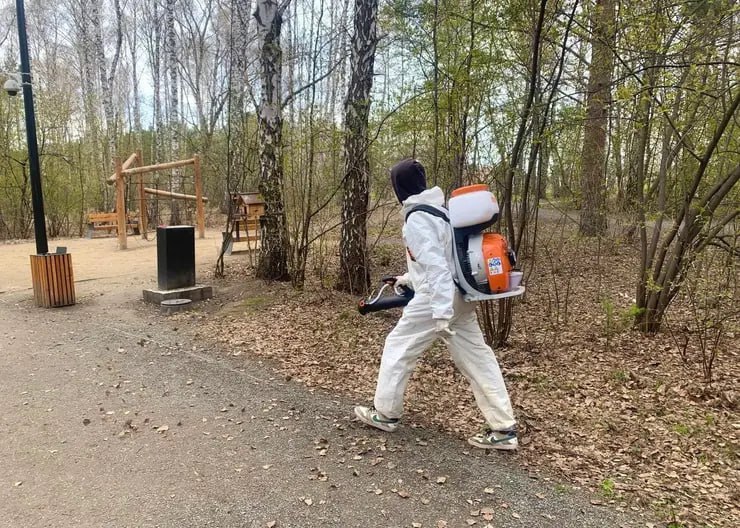 Популярные туристические места в окрестностях Красноярска обработают от клещей Сегодня специалисты работают на подъемах к Манской петле. Завтра, 13 мая, с 9 утра препараты будут распылять в экопарке «Гремячая грива», на смотровой площадке Николаевской сопки, рядом с визит-центром «Серебряный лог» и на верхней площадке лестницы на Удачном. В среду, 14 мая, с 9 утра обработка запланирована в экопарке «Юдинская долина», на восточном входе в нацпарк «Красноярские Столбы», внизу и на вершине лестницы на Торгашинский хребет. Повторная акарицидная обработка состоится через месяц. После распыления препаратов людям и животным не рекомендуют находиться на этих территориях как минимум 6 часов. Фото: Гремячая грива