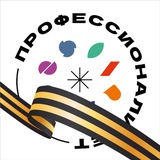 ПРОФЕССИОНАЛИТЕТ