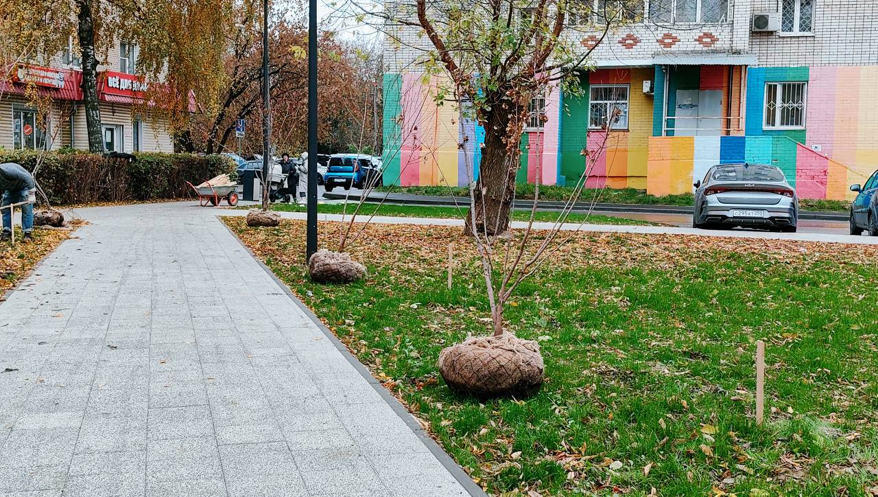 3 0 клёнов появятся в новом сквере на Советской улице Сотрудники по благоустройству вовсю озеленяют территорию в обновлённом сквере Помимо клёнов остролистных на клумбах уже высадили 4250 многолетних флоксов восьми видов Растения посажены в горшках с сформированной корневой системой После зимовки они начнут расти а летом цвести Напоминаем что недавно на Советской улице у дома 1 завершилось благоустройство сквера Здесь уложили удобные пешеходные дорожки установили скамейки и современные светильники засеяли газон благоустройствощёлково
