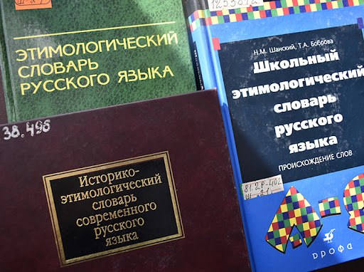 В среду в ходе пленарного заседания мажилис взял в работу и сразу принял закон «О ратификации Договора об учреждении Международной организации по русскому языку».   Как заверил министр науки и высшего образования Саясат Нурбек, деятельность организации не будет затрагивать или ограничивать языковую политику Казахстана.